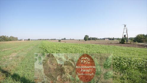 działka na sprzedaż 9800m2 działka Rudka Gołębska