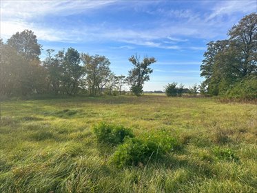 działka na sprzedaż 16000m2 działka Dąbie, Dąbie, Cichmiana