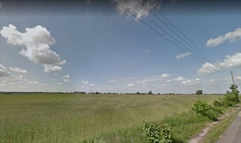 Działka inwestycyjna na sprzedaż Poznań, Nowe Miasto, Pokrzywno 76 000m2 Foto 2