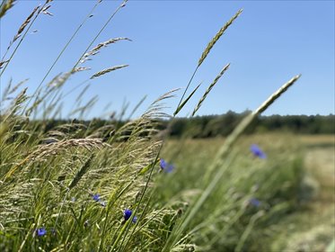 działka na sprzedaż 828m2 działka Siedliska