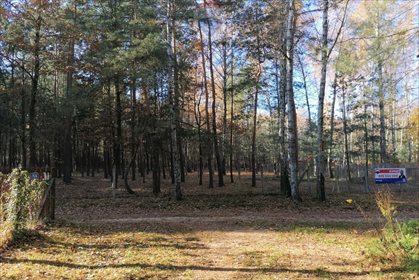 działka na sprzedaż 5307m2 działka Lasek, Sosnowa