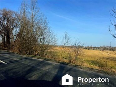 Działka rolna 4822 m² z dojazdem asfaltowym - Opole Lubelskie działka Opole Lubelskie