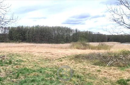 działka na sprzedaż 2263m2 działka Sulęcin