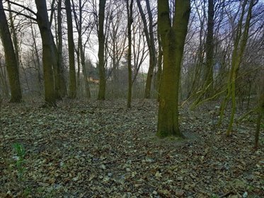 działka na sprzedaż 3300m2 działka Kocianów