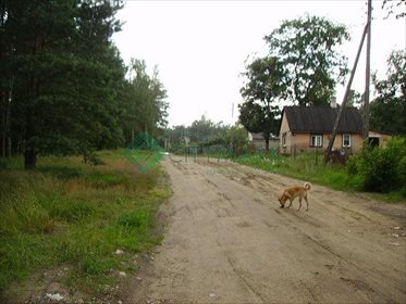 Działka budowlana na sprzedaż Otwock, Świder 5 000m2 Foto 3