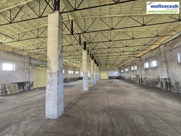 lokal użytkowy na wynajem 808m2 lokal użytkowy Piotrków Trybunalski