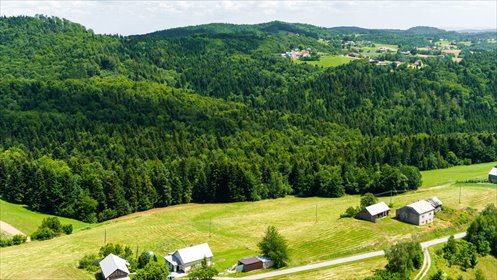 działka na sprzedaż 1200m2 działka Żurowa
