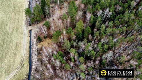 Sprzedam działkę 1400 m² w lesie - inwestycja i relaks działka Walne