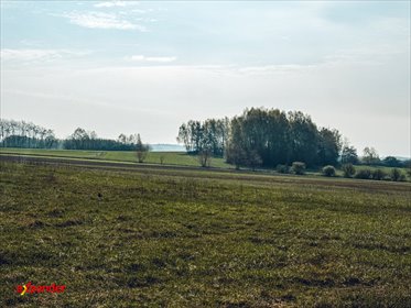 Działka inwestycyjna 3,16ha z rekreacją i mieszkaniem działka Parzynów