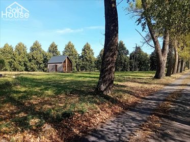 działka na sprzedaż 3000m2 działka Dziewiczy Ług