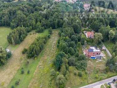 Duża działka 7000 m² z warunkami zabudowy polecam działka Władzimirów, Ludwikowska
