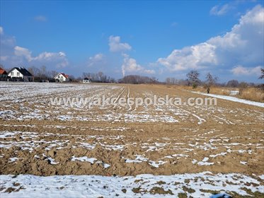 Działka 3400m² z dostępem do jeziora - warunki zabudowy działka Warszawa, Wilanów, Powsin, Łęgowa