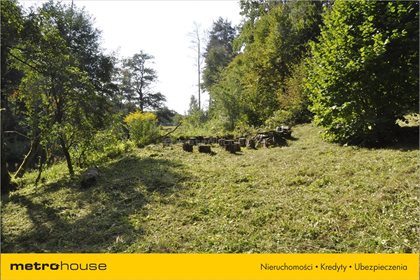 Działka budowlana na sprzedaż Kajny, Jonkowo 5 200m2 Foto 5