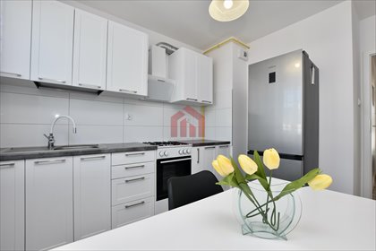Przestronne 2-pokojowe mieszkanie z dużym balkonem, piwnicą i świetną lokalizacją mieszkanie Rzeszów, Kotuli, Krośnieńska