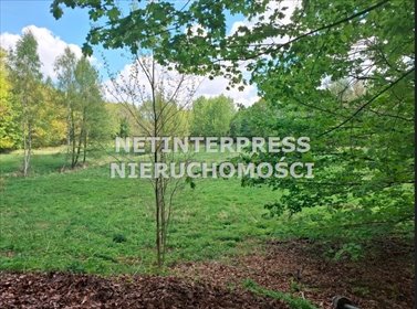 działka na sprzedaż 21423m2 działka Sitno, Świątki