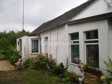 działka na sprzedaż 5500m2 działka Szczecin, Dąbie