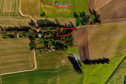 Działka budowlana z zagajnikiem, WZ, blisko Złotowa - polecam! działka Dzierzążenko