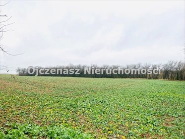 działka na sprzedaż 8300m2 działka Sitno