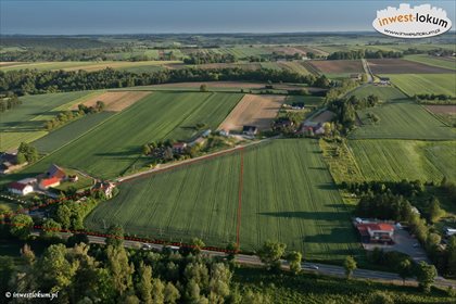 Działka budowlana na sprzedaż Falniów 18 336m2 Foto 4