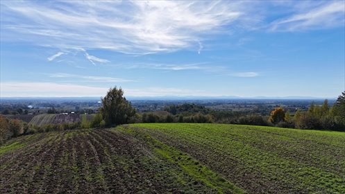 działka na sprzedaż 750m2 działka Koszyce, Jaksice, Jaksice