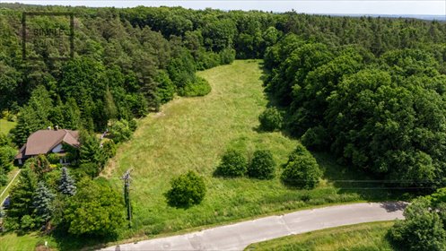 działka na sprzedaż 11000m2 działka Jerzmanowa, Parkowa
