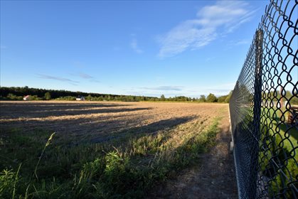 Działka budowlana na sprzedaż Borkowice 1 200m2 Foto 1