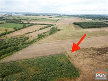 Działka 5000 m2 pod przemysł - Rzewnowo - blisko obwodnicy działka Rzewnowo