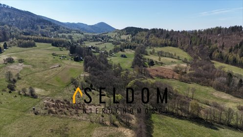 Działka z WZ w Kamiennej - idealna pod siedlisko lub inwestycję działka Kamienna