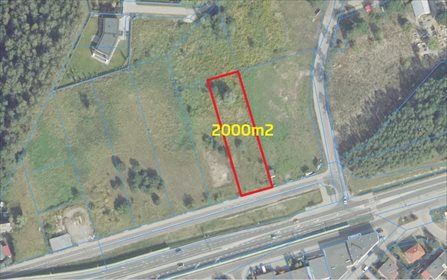 Działka inwestycyjna pod dzierżawę Białe Błota 2 000m2 Foto 3