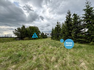 działka na sprzedaż 4300m2 działka Osowo Leśne