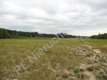 Działka rolna na sprzedaż Wólka-Konstancja 25 520m2 Foto 2