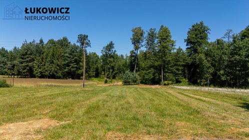 działka na sprzedaż 3057m2 działka Dankowice