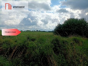 działka na sprzedaż 33000m2 działka Anieliny