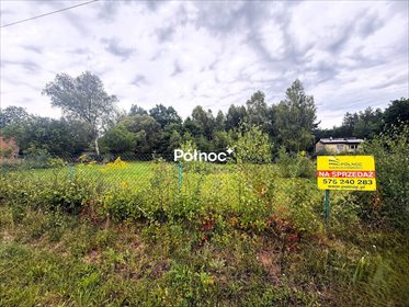 Działka 5400 m² z pozwoleniem na budowę - Szczepocice Rządowe działka Szczepocice Rządowe
