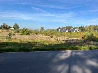 Działka pod inwestycję 24 839 m2, media, las, cicha okolica. działka Ruda-Bugaj