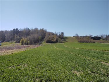 działka na sprzedaż 8547m2 działka Nałęczów, Nałęczów