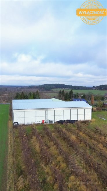 Magazyn na sprzedaż Dobiegniew 2 162m2 Foto 6