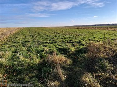 działka na sprzedaż 1408m2 działka Przestańsko