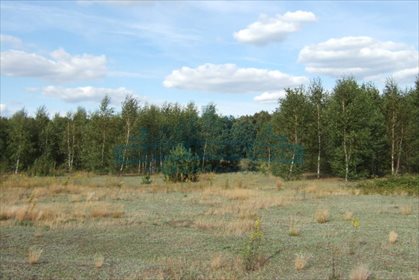 działka na sprzedaż 1214m2 działka Sokule