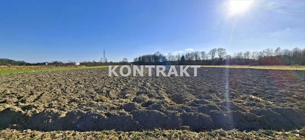 działka na sprzedaż 7906m2 działka Oświęcim, Babice, Spacerowa