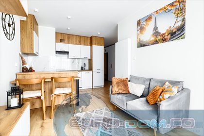 mieszkanie na wynajem 33m2 mieszkanie Poznań, Winogrady, Wilczak