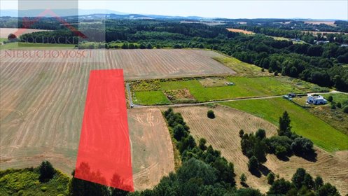 Polecam działkę inwestycyjną 1,56 ha z potencjałem podziału w Olszynie działka Olszyna