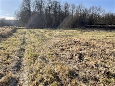 działka na sprzedaż 1941m2 działka Truskaw, Truskaw, Południowa