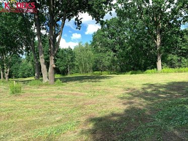 Polecam działkę inwestycyjną 3449 m² w Jabłonnie działka Jabłonna