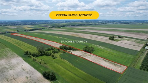 Do sprzedania działka rolna 3 ha w Prandocinie-Iły działka Prandocin-Iły