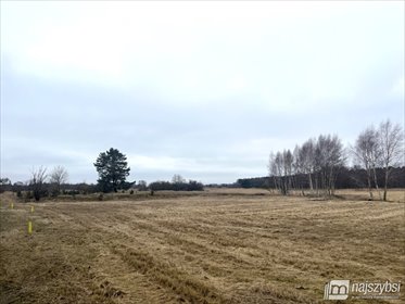 działka na sprzedaż 4088m2 działka Stepniczka