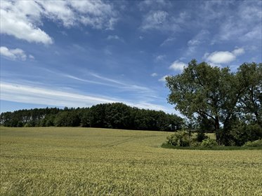 działka na sprzedaż 1100m2 działka Lichnowy