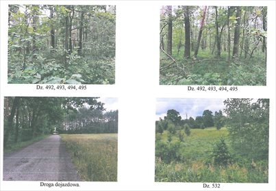 Działka rolna na sprzedaż Papiernia 41 900m2 Foto 4