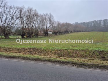 Działka 10 464 m² pod dom jednorodzinny w Dolinie Wisły działka Strzelce Dolne