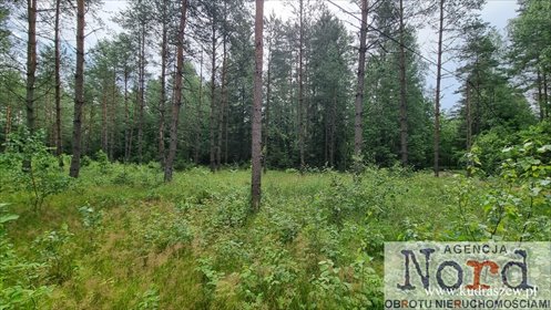 Działka 1484 m² pod zabudowę i usługi w Gorczycy działka Gorczyca